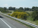 DSCN0196