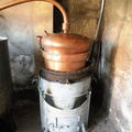 DSCN1455
