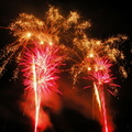 DSCN7137