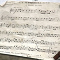 DSCN8495