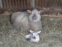 Photo de famille