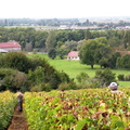 DSCN1685