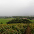 DSCN1779