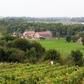 DSCN1783