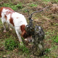 DSCN1812
