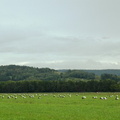 DSCN1209