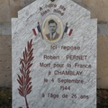 DSCN8732
