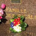 DSCN8739