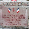 DSCN8767