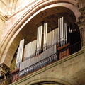 DSCN3052