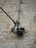 Ca change des pigeons