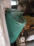 DSCN4124