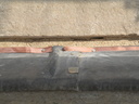 DSCN4186