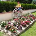 DSCN5317
