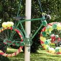 DSCN5334
