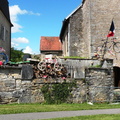 DSCN5335