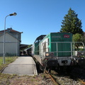 DSCN7952