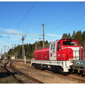 DSCN8831