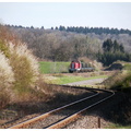 DSCN8843