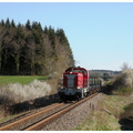 DSCN8847