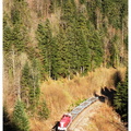 DSCN8854