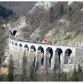 DSCN8865