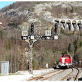 DSCN8884