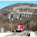 DSCN8887