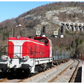 DSCN8890