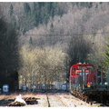 DSCN8900