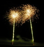 DSCN0228
