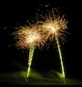 DSCN0231