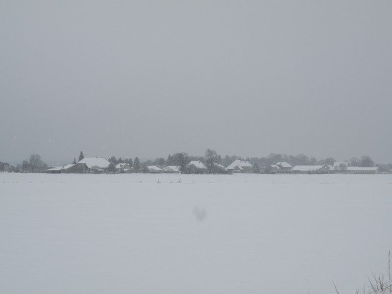 DSCN2972.JPG