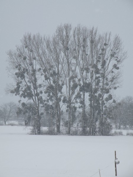 DSCN2974.JPG