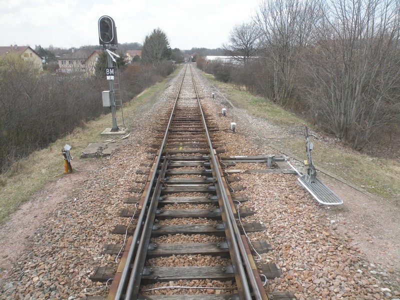DSCN5000.JPG