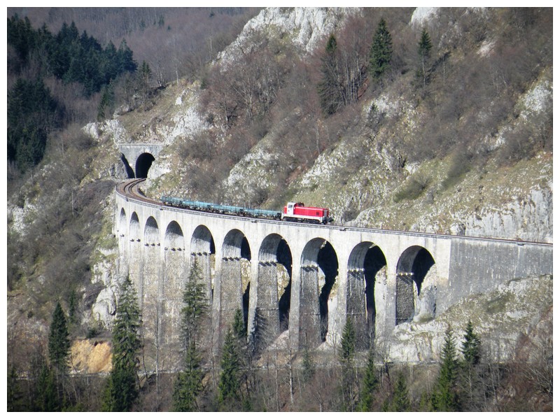 DSCN8865.JPG